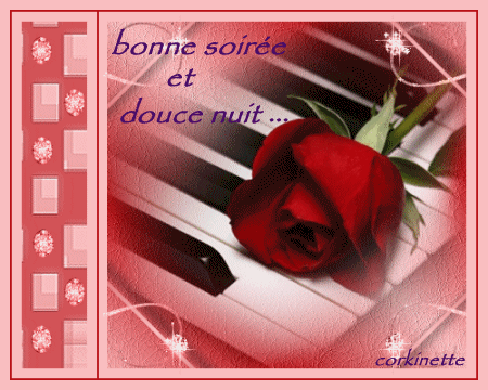 jolie rose posée sur un clavier de piano